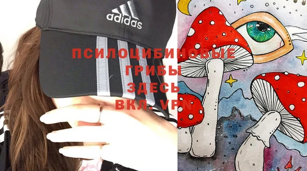 мдпв Дмитров