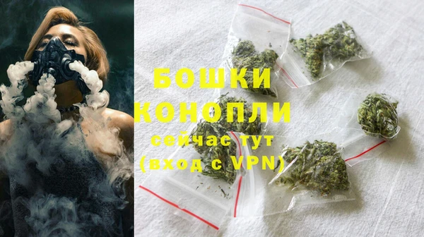 мдпв Дмитров
