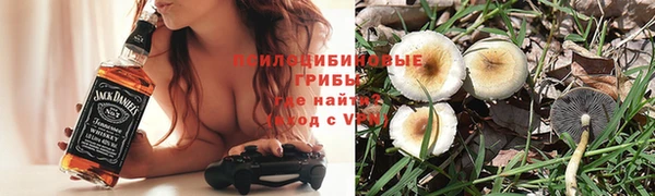 мдпв Дмитров